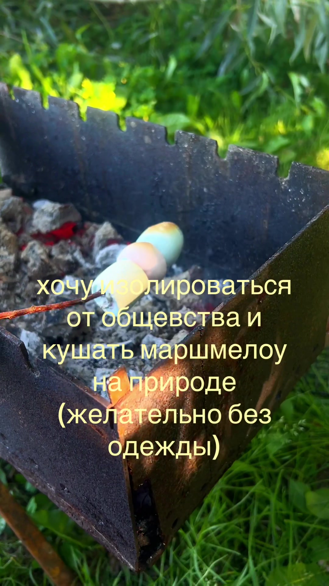 @ТГК:доминика вейн