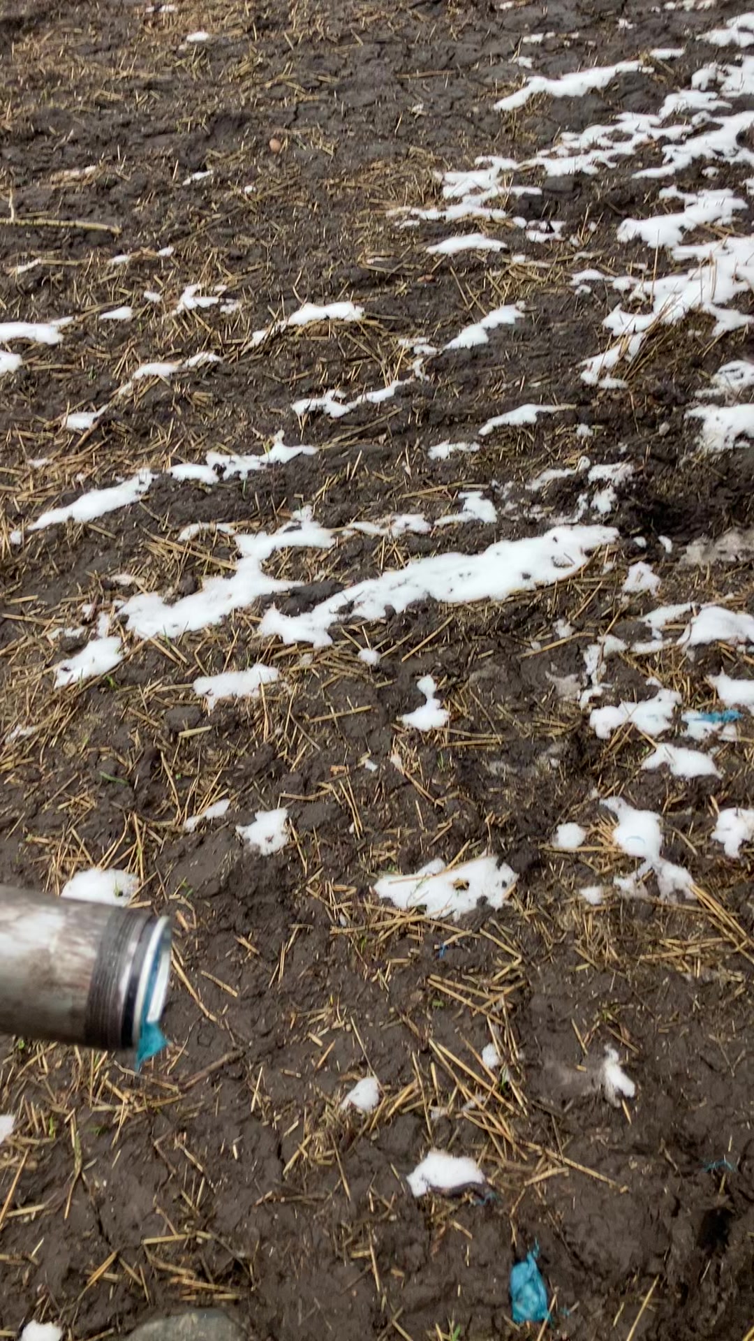 @bf48farmer