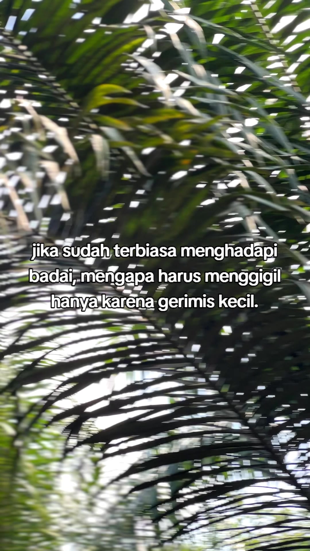 @ᴇᴍᴏɴ ᴊᴀʏᴀ.ɪᴅ