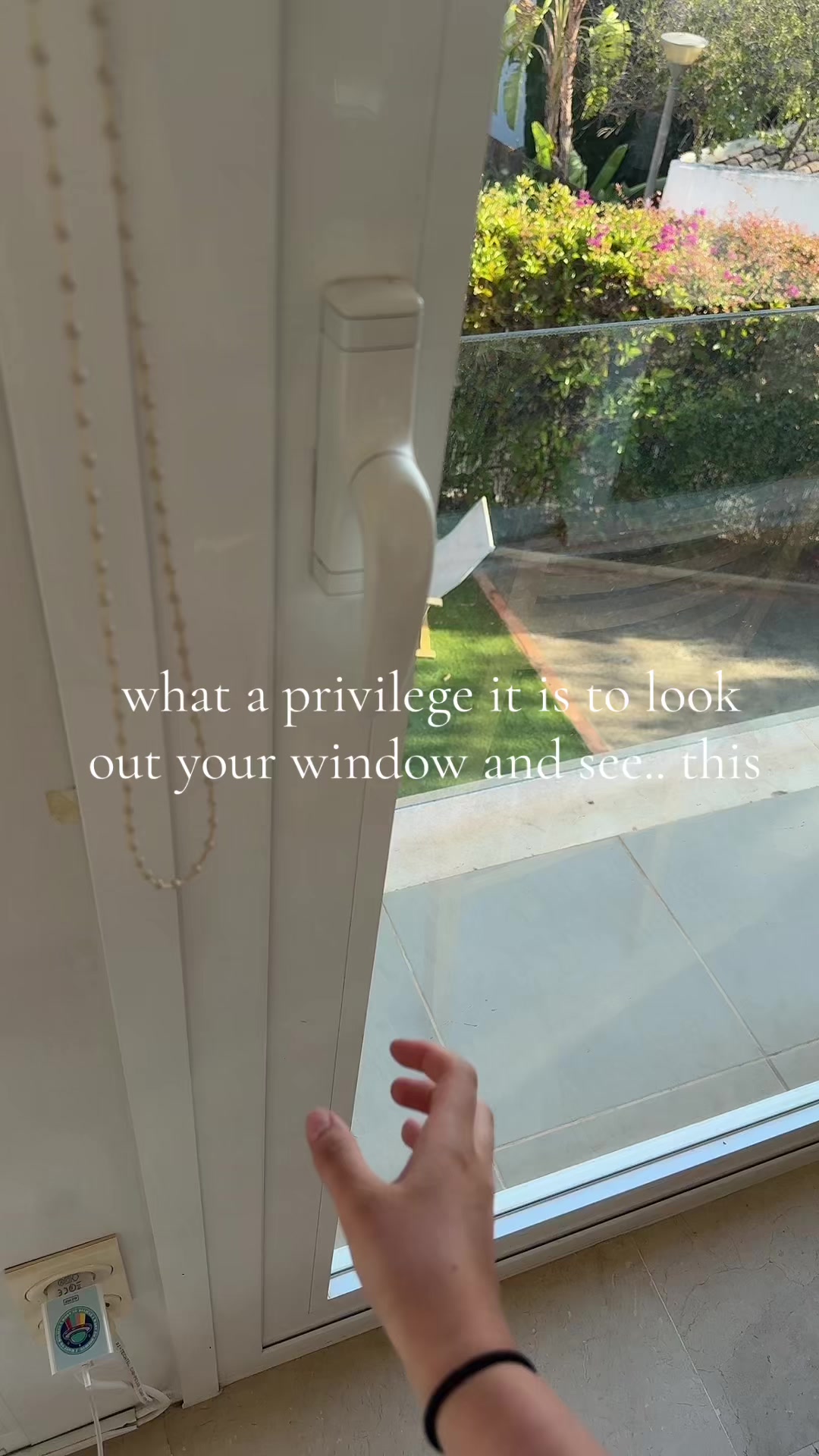 @hayley 🤍