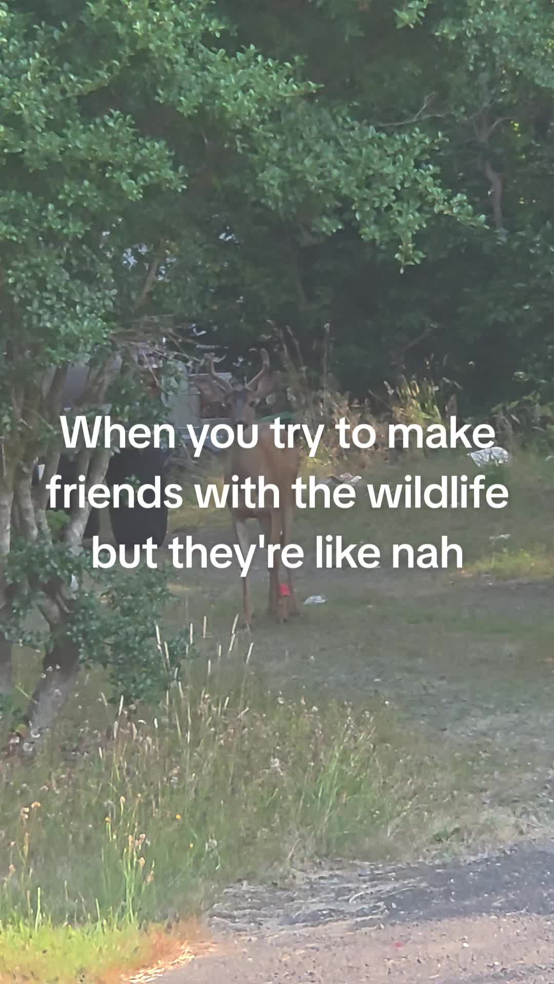 @Chicka