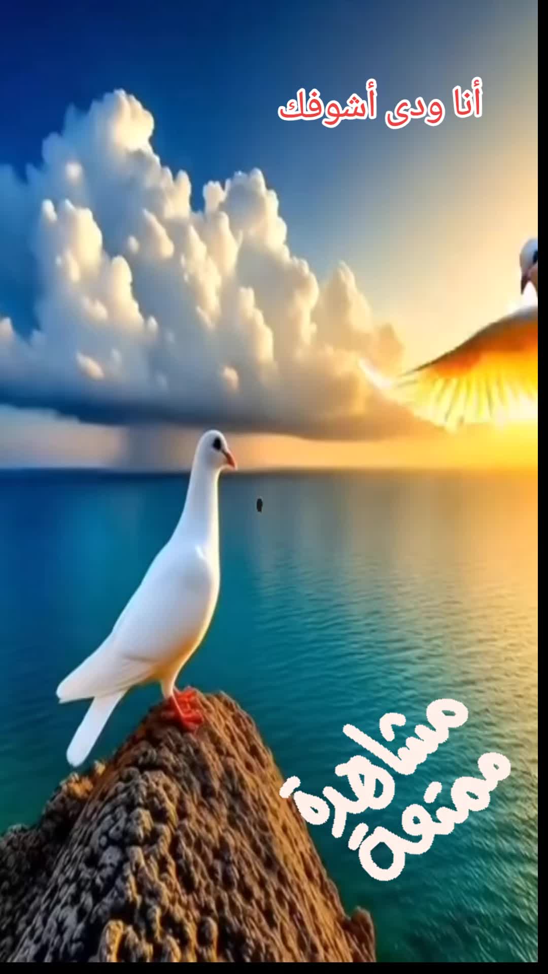 @رحمتك يارب
