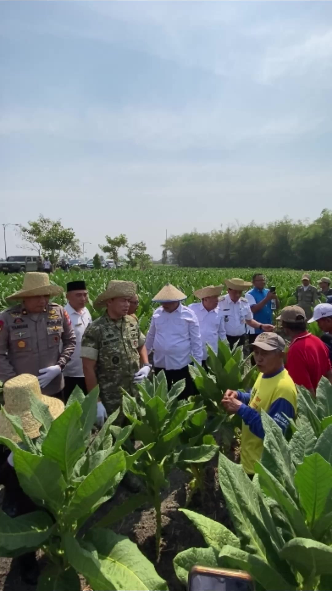 @wargajombang