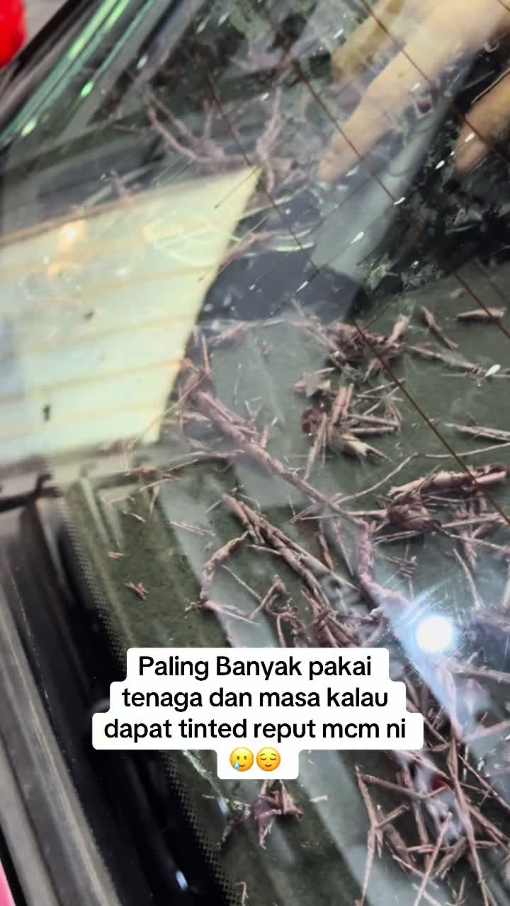@RyzTokanTinted
