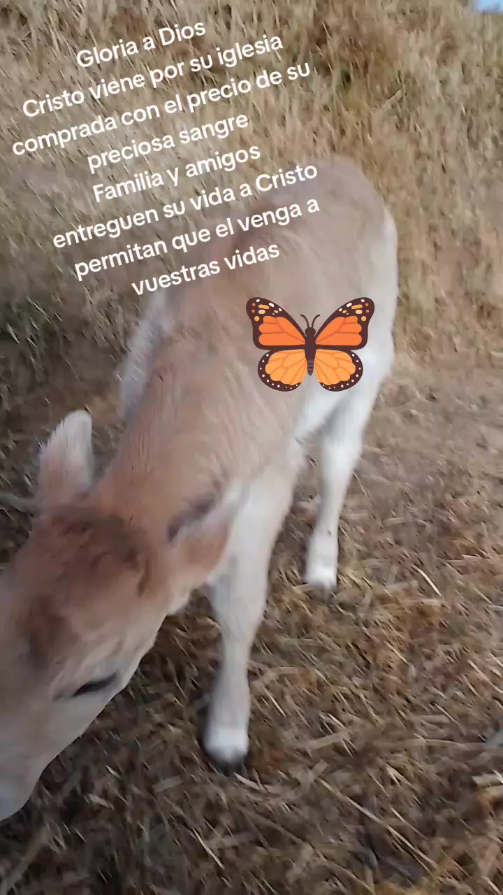 @Julia Fuerte