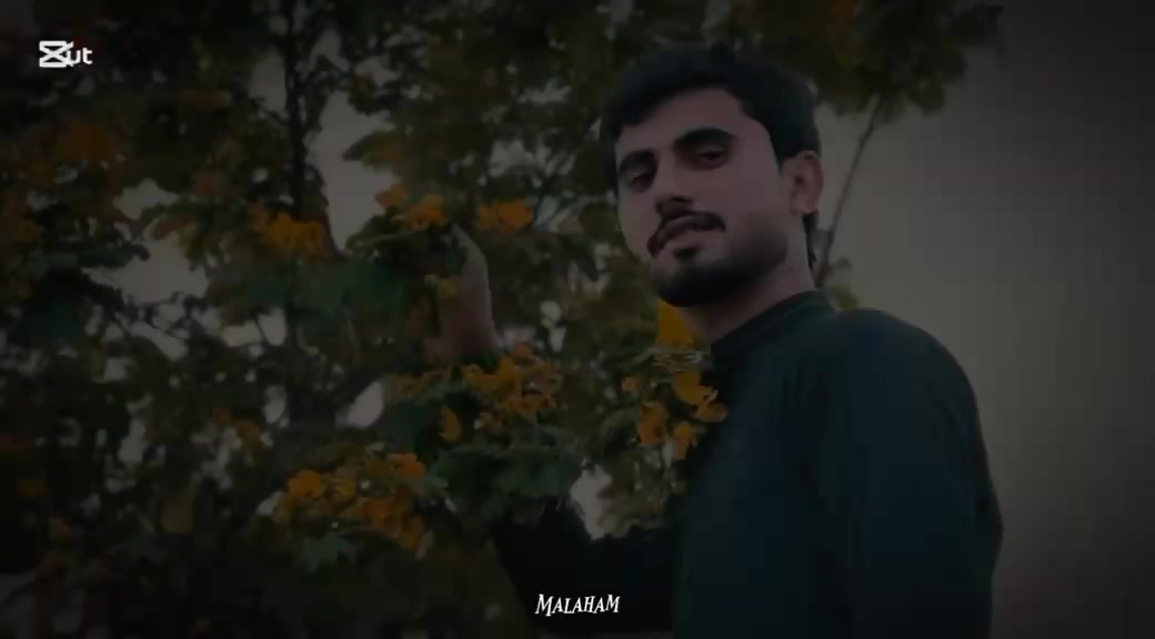 @Apna Chand Bhai