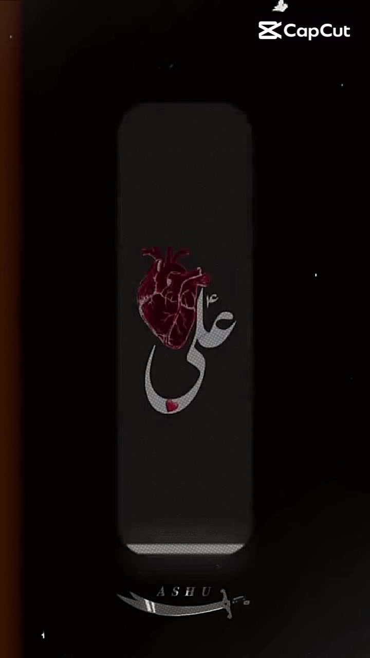 @🇵🇰🇲🇫꧁•علی😈 راجپوت🫀٭⊹•꧂