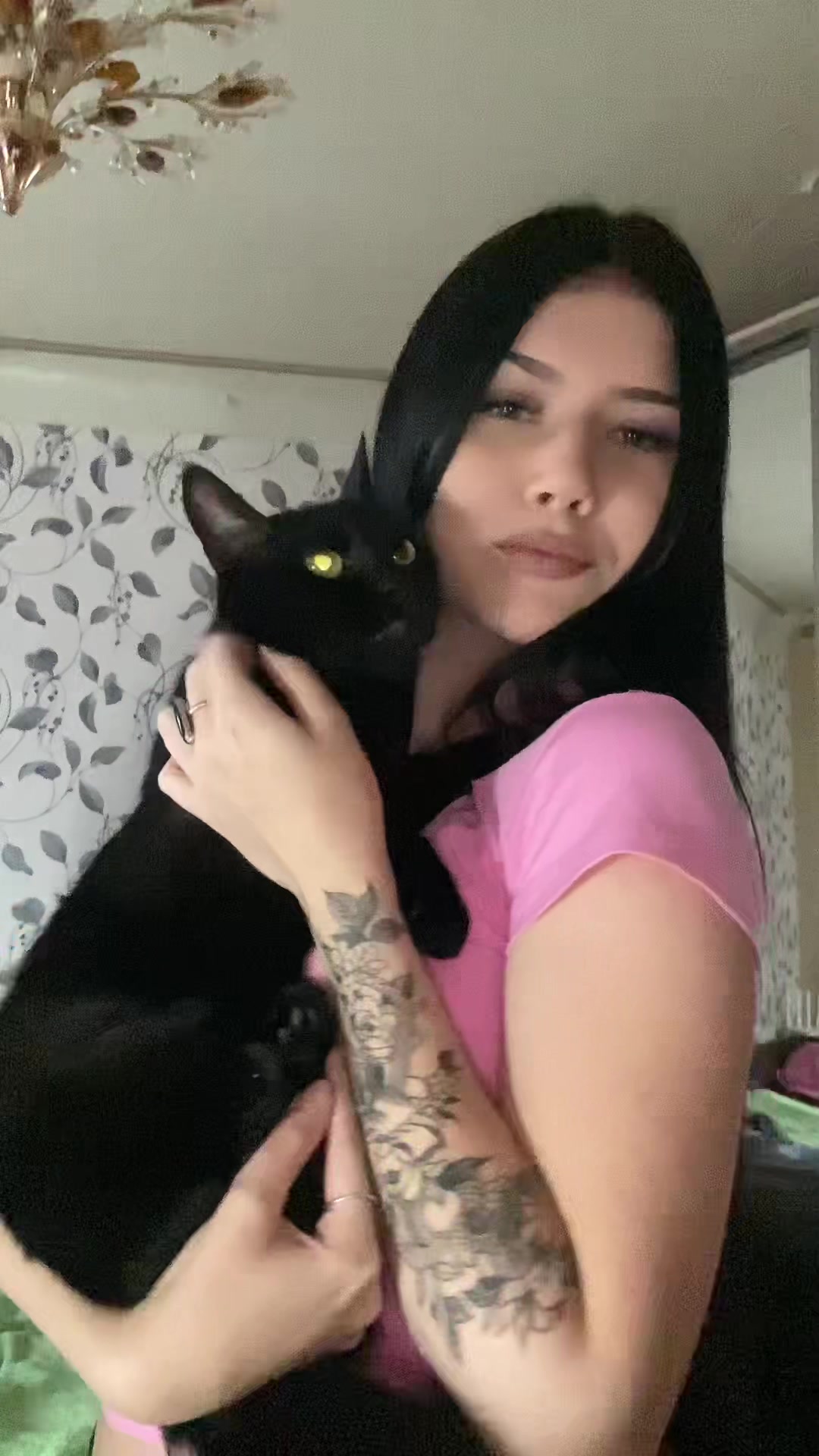 @🐈⬛