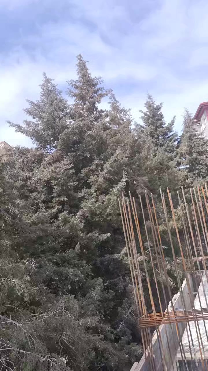 @03Yusufyıldırım(inşaatyapı)
