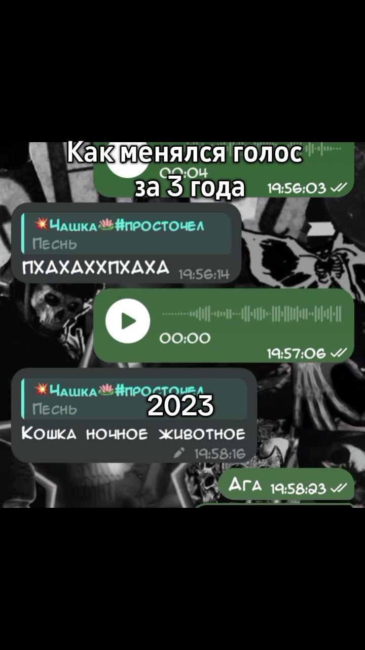 @Я ᥴчᥲᥴᴛ᧘ᥙʙ (!)🎸