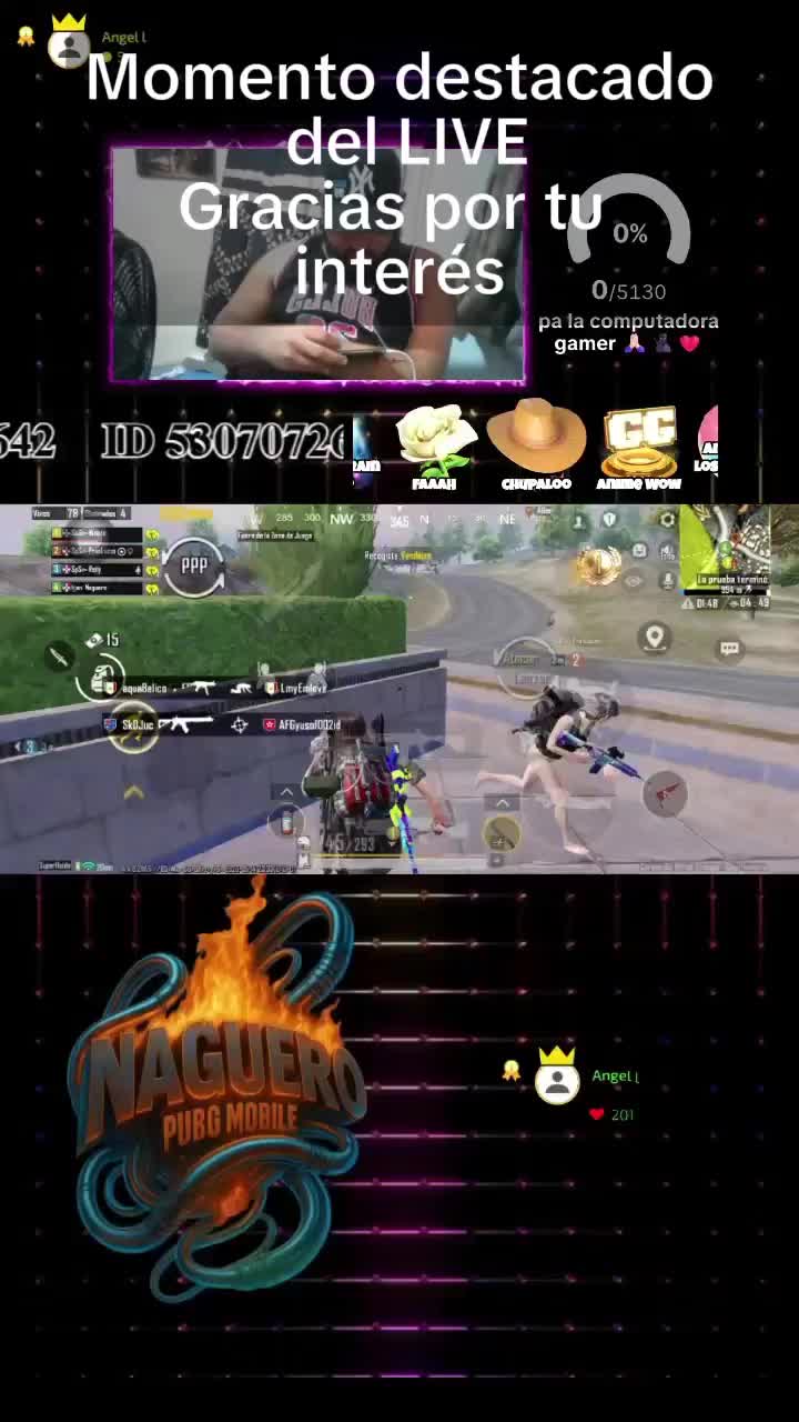 @Naguero pubg 23🐺