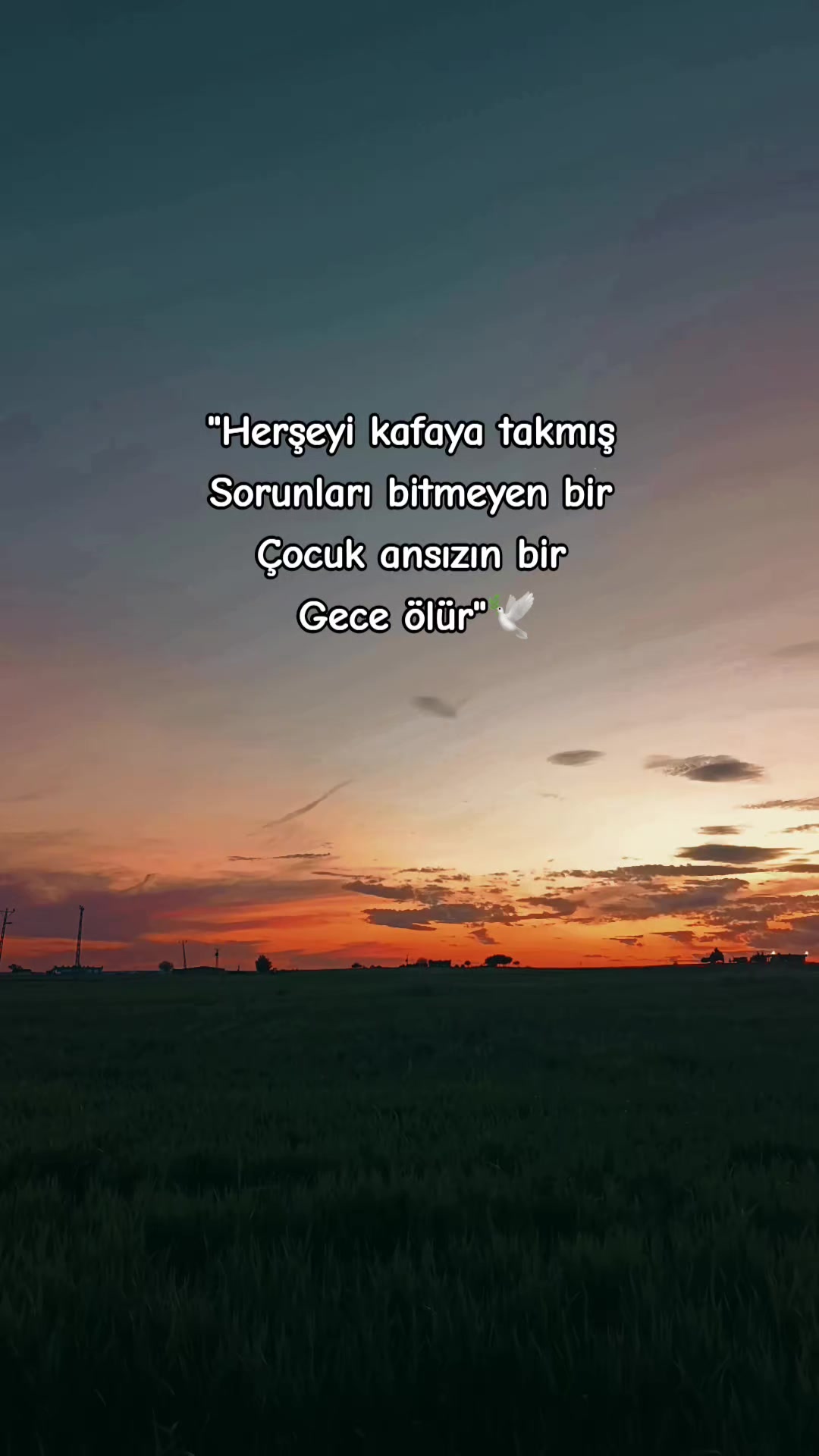 @❤️🩹🕊️