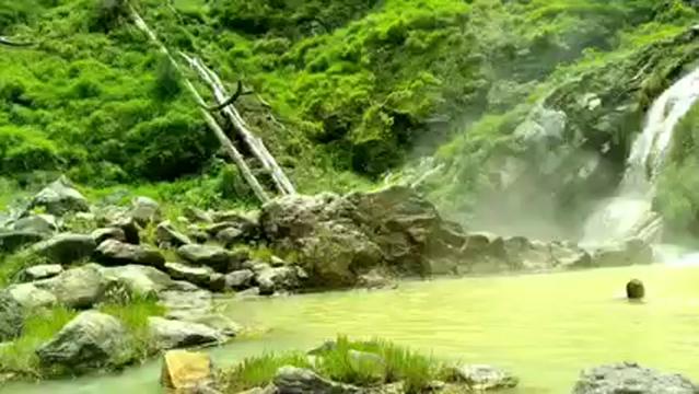 @Salvin Trekking