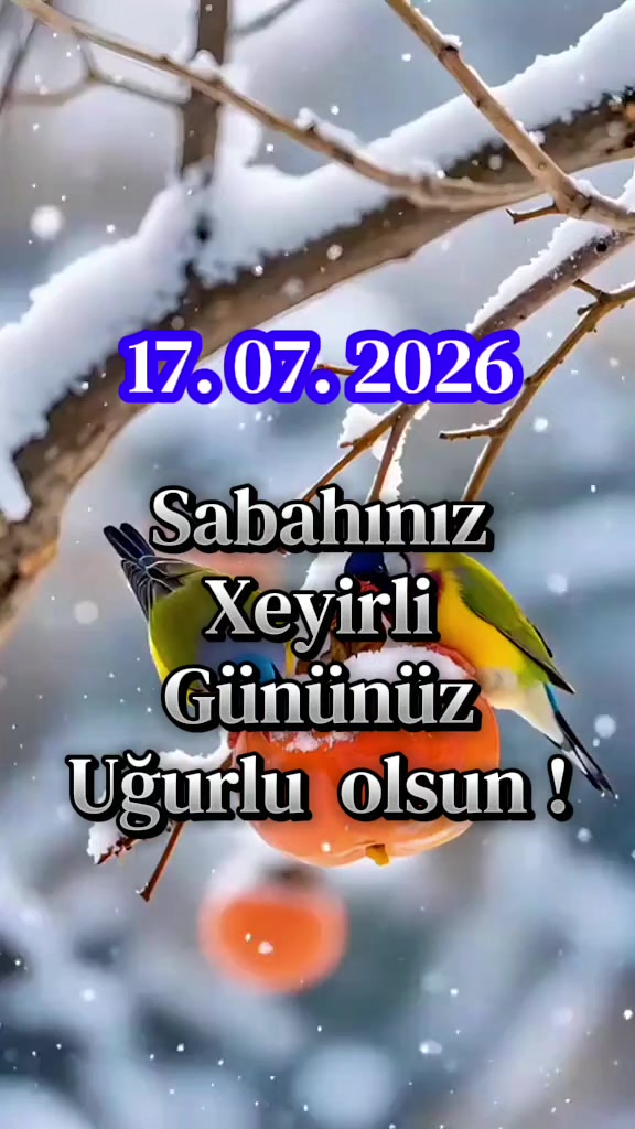 @๊ง ๐๐๐ ๐ ๐๐ง_๐ท๐ข๐๐ ๊ง