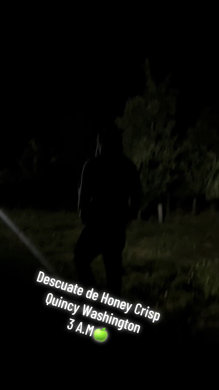 @Ricardo_98M1