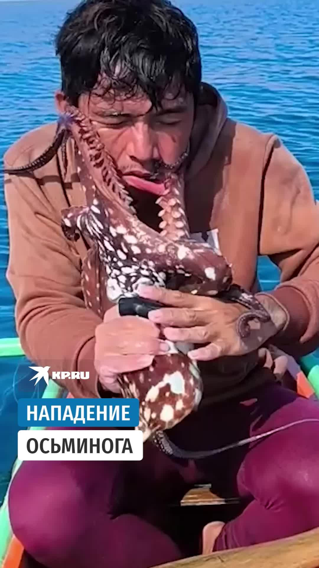 @kptok