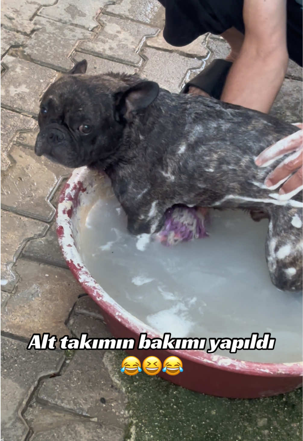 @Ali Can Çalışkan