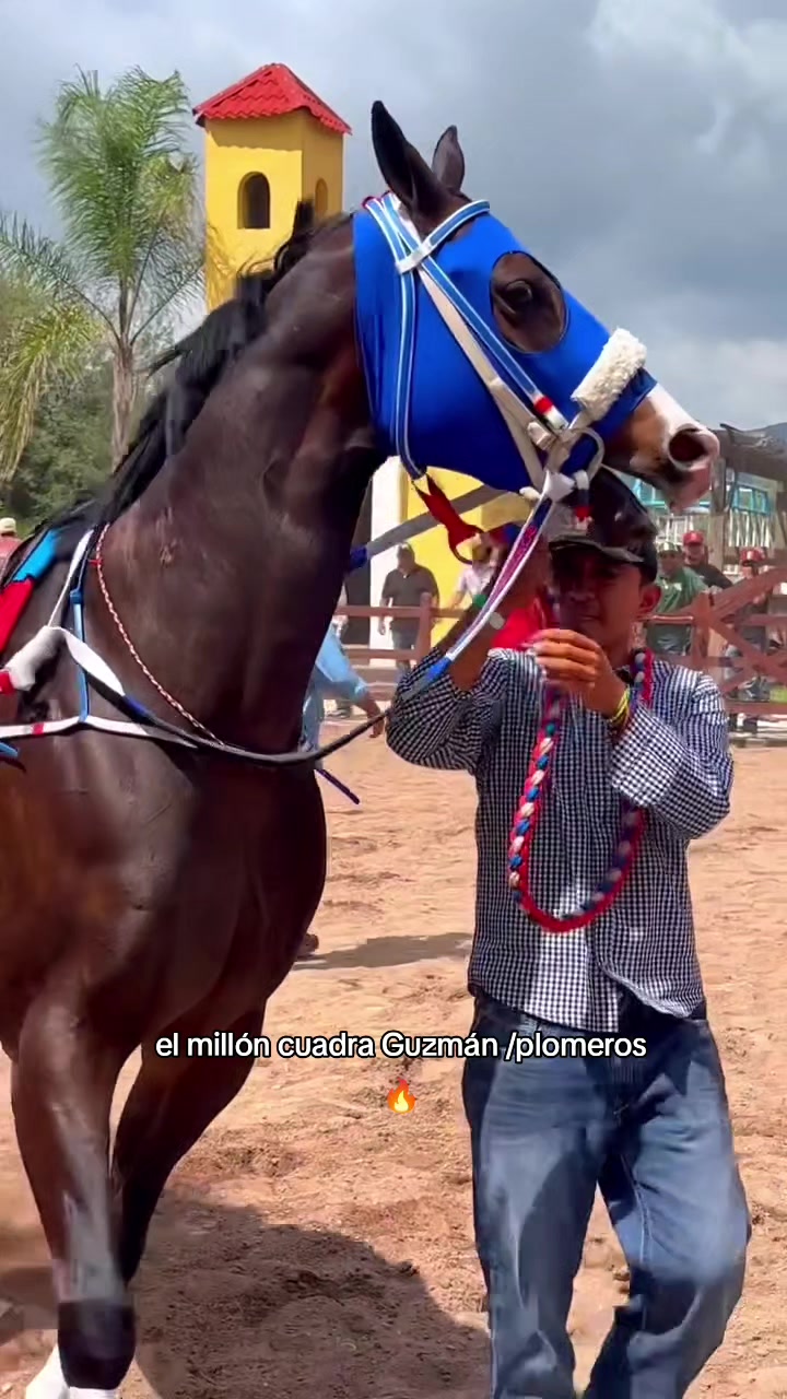 @carriles altos de jalisco🐎