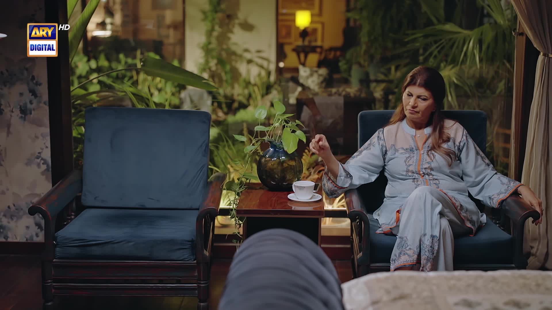 @ARY DIGITAL