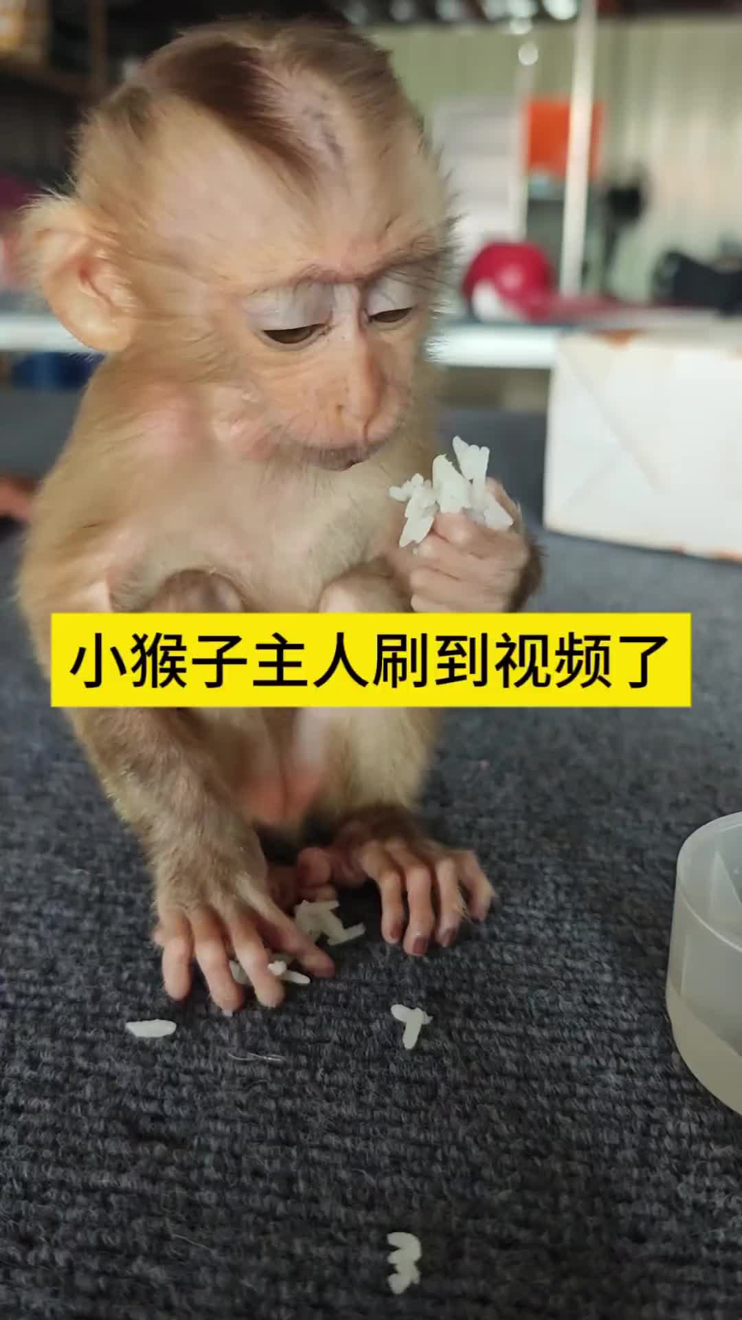 @影视剧无霸