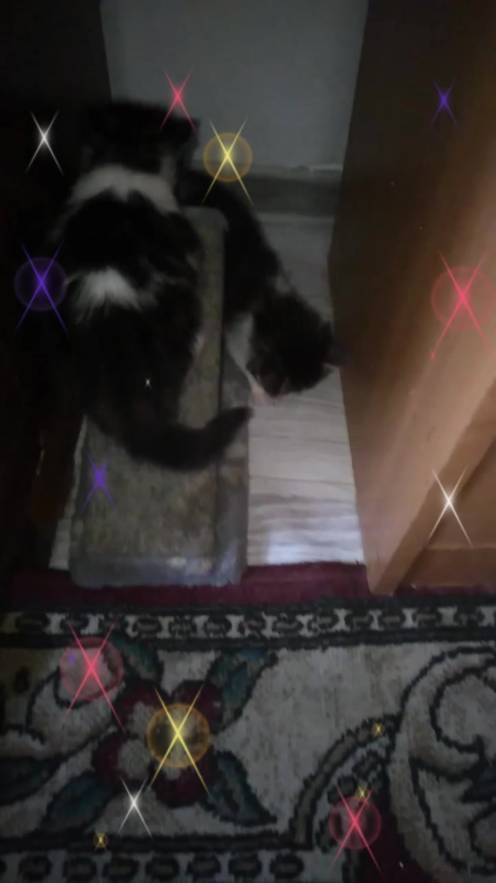 @chertkova Наталья
