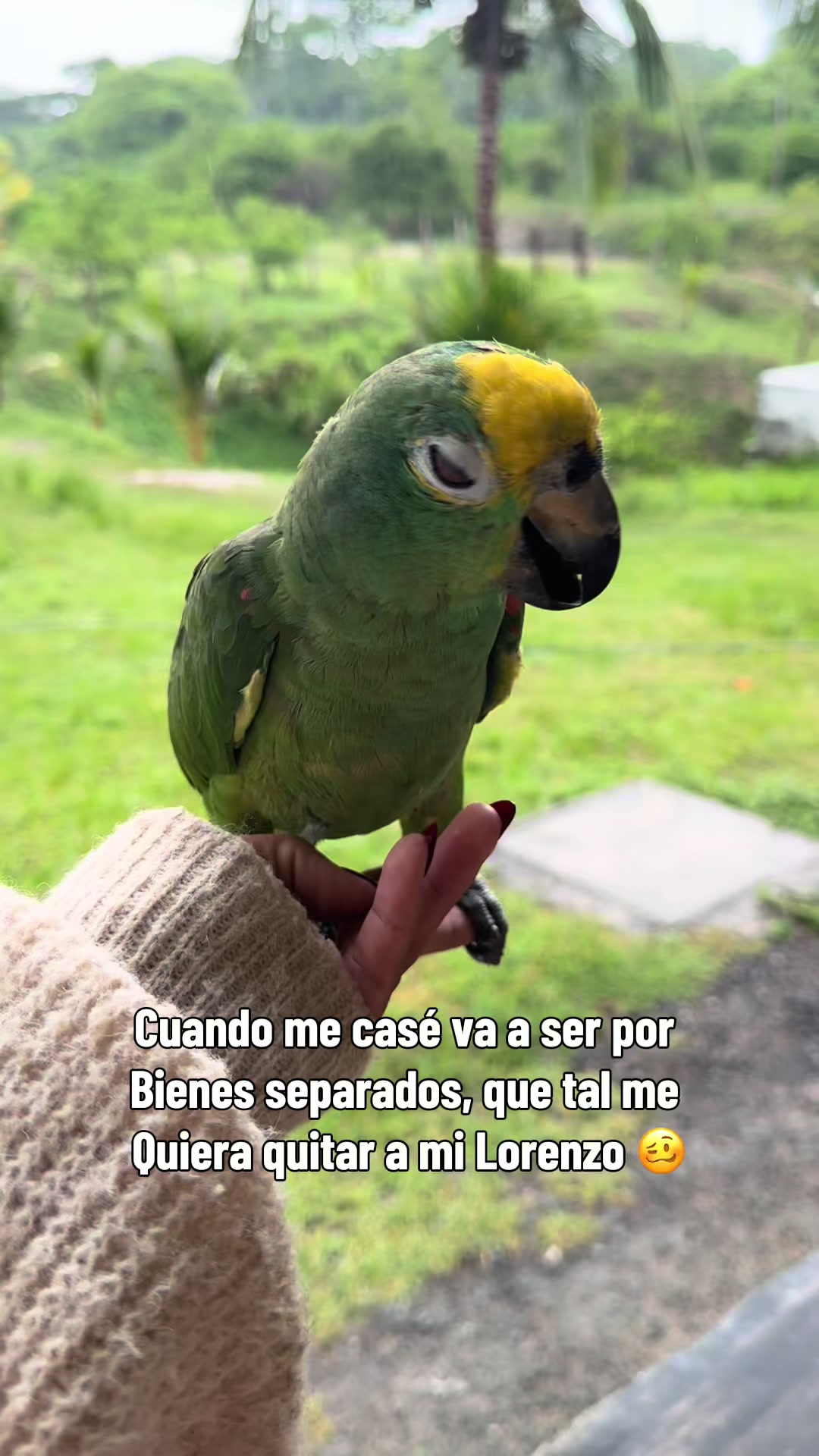 @Granjamascotalandiayaracuy