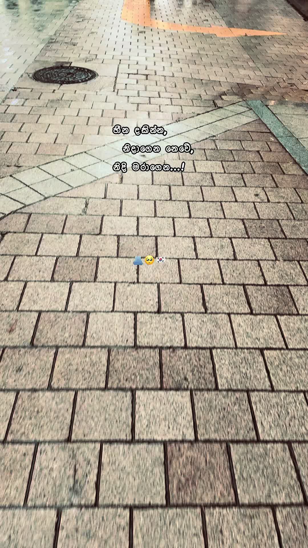 @Chamiya🇰🇷🇱🇰
