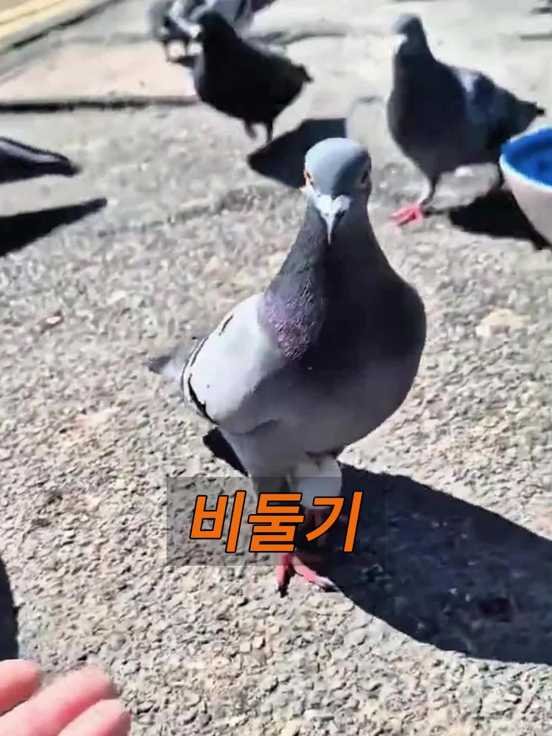 @삼촌Cut2025