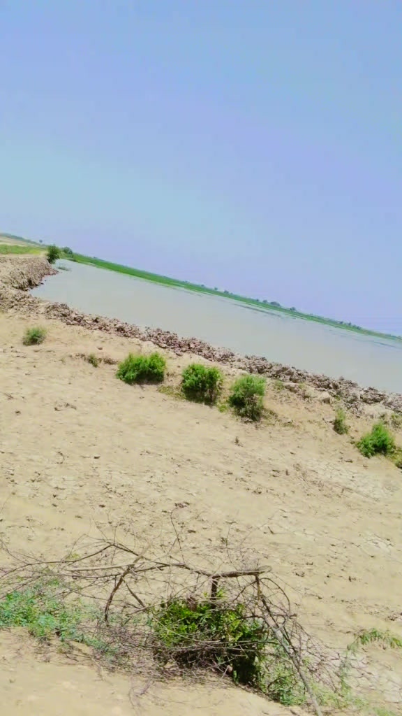 @علی محمد سلمان خیل