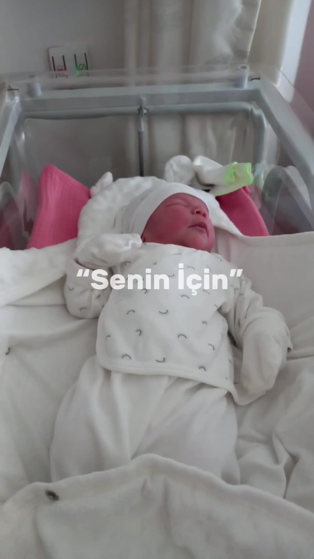 @Ebru Basan
