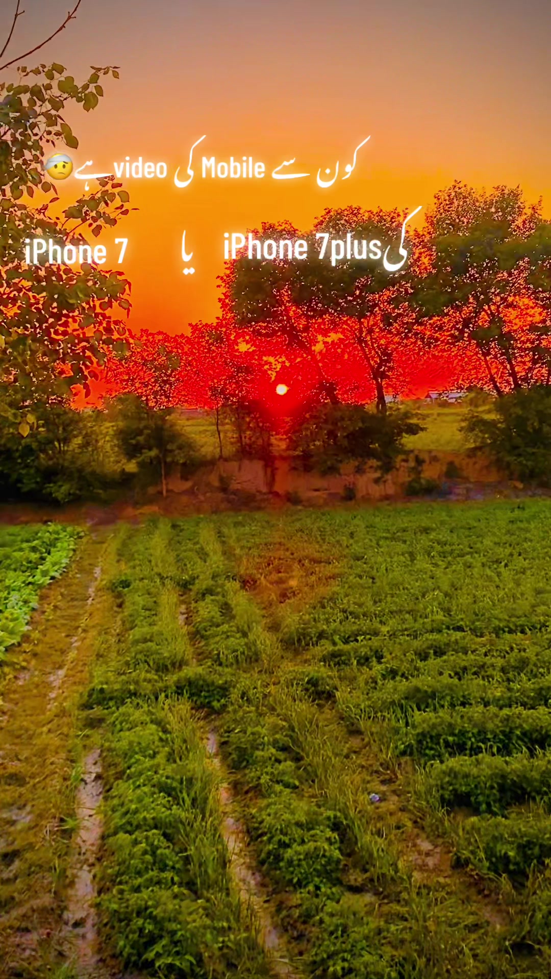 @🥬🎗️پنڈاں آے 🌺