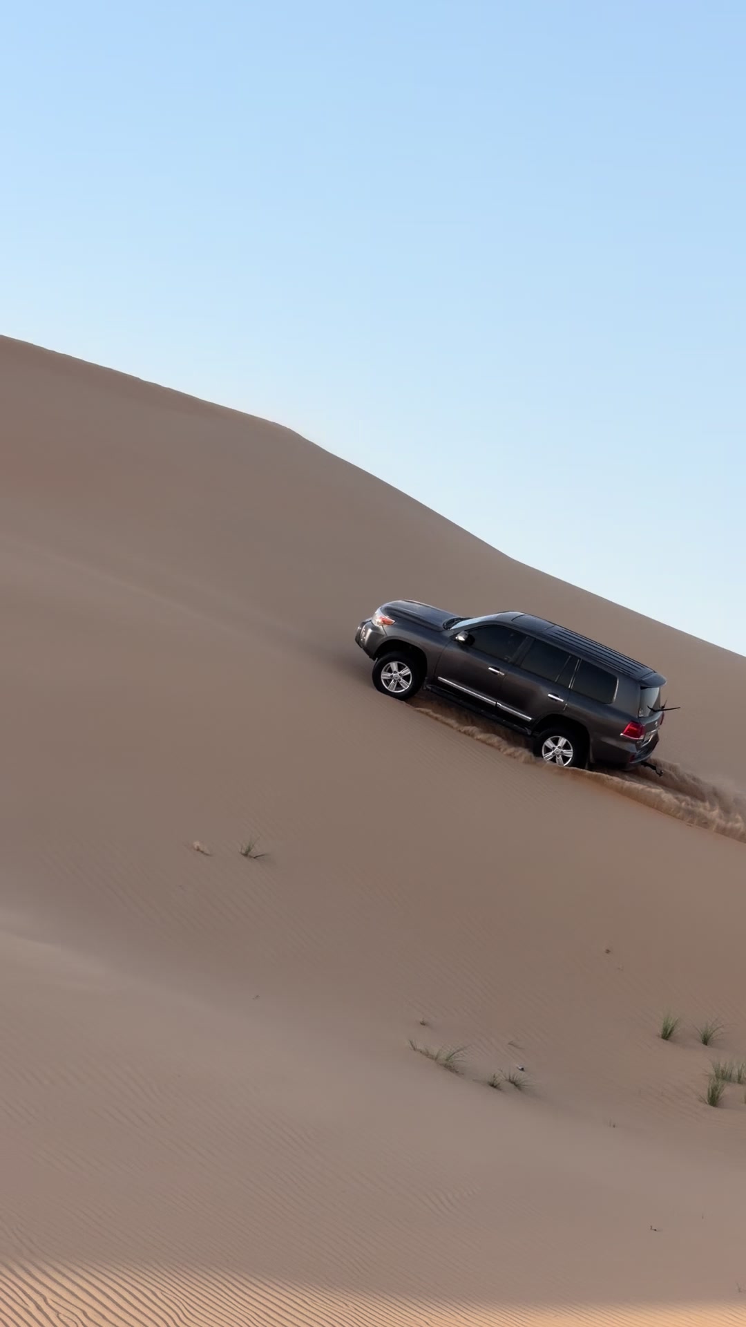 @ABDUL SAFARI ABUDHABI