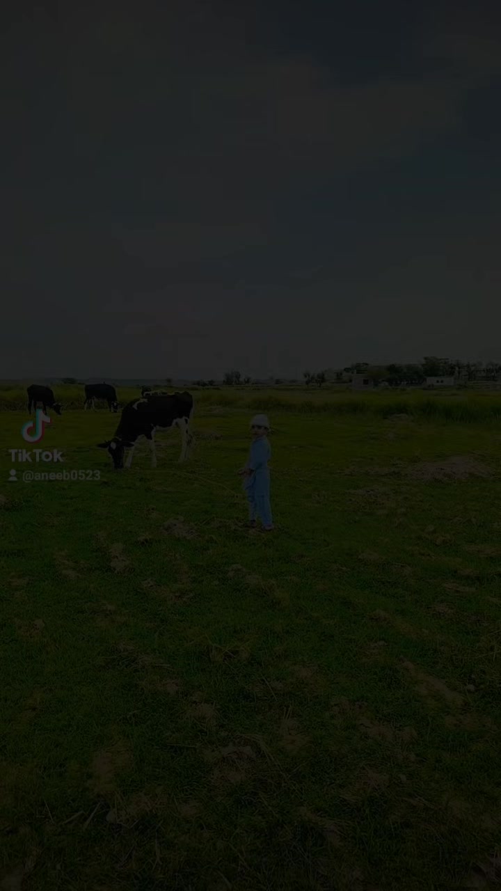@aneeb