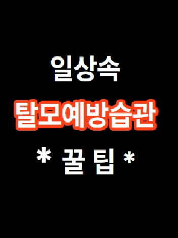 @꿀공사