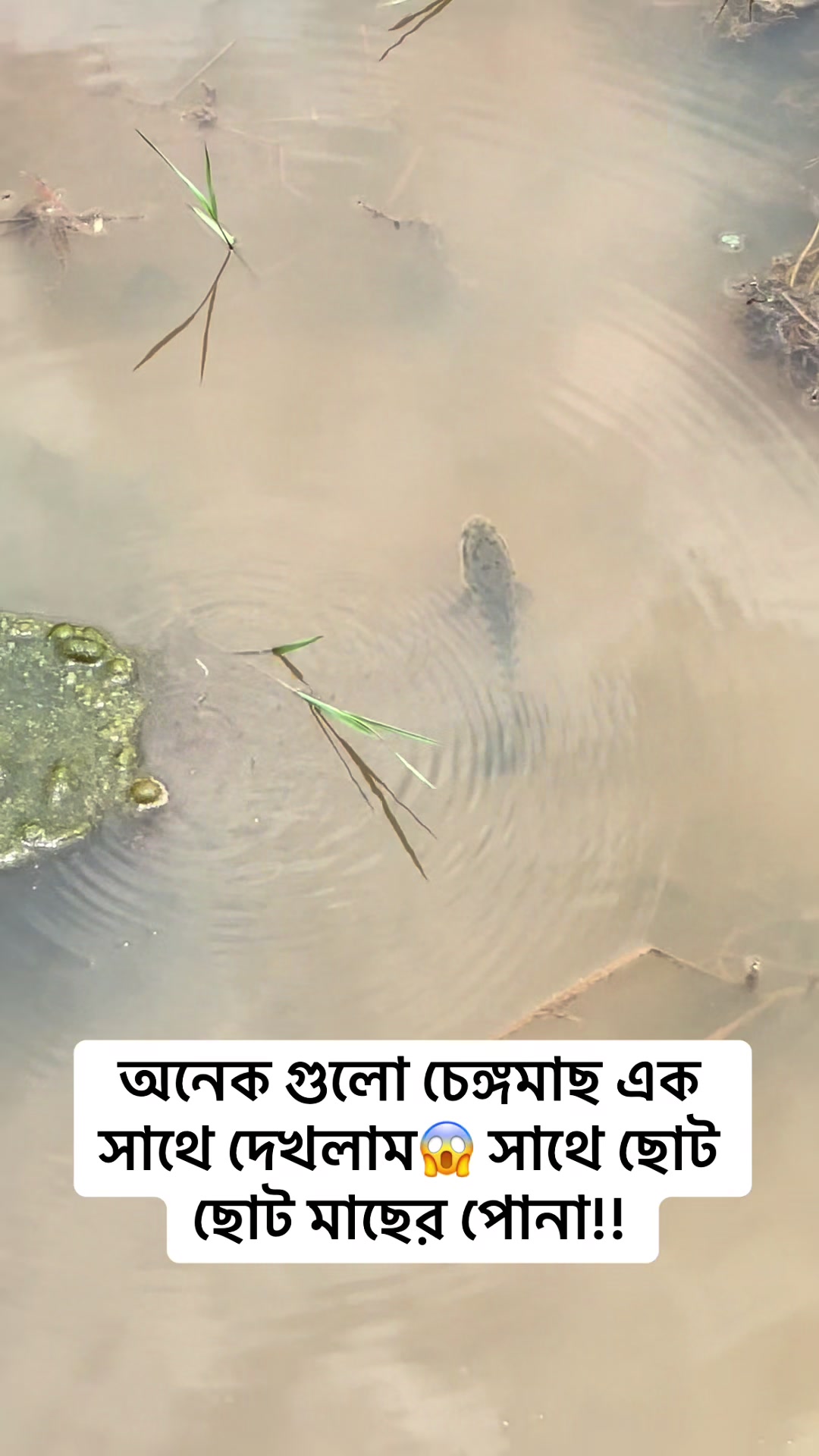 @SUHEL is HEREđļđĻđ§đŠ