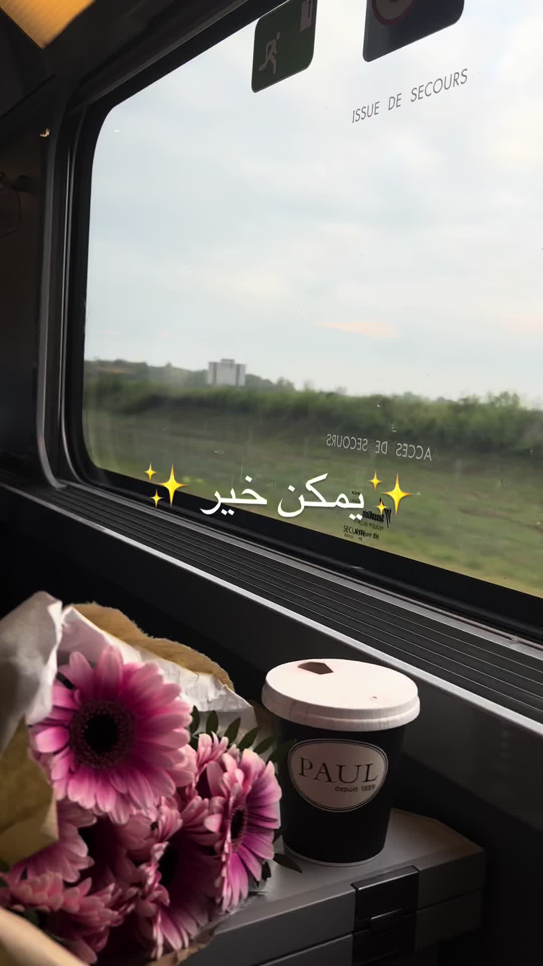 @سارا