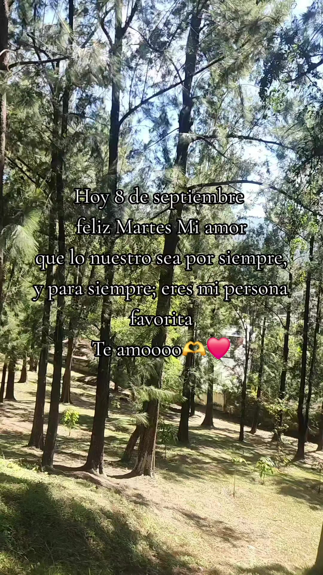 @โค๏ธโก๐
๐
๐
๐
จ๐ฎโกโค๏ธ
