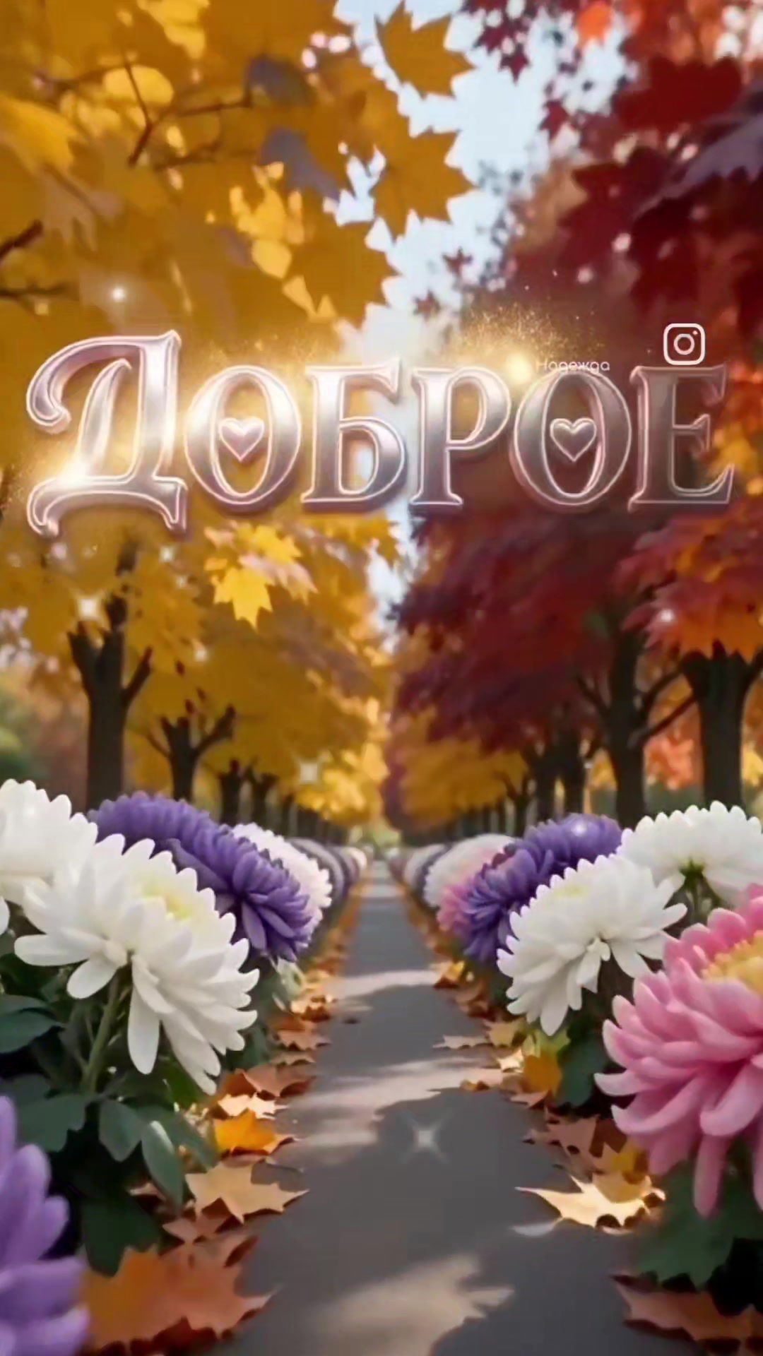 @🌼Ромашки для Наташки🌼