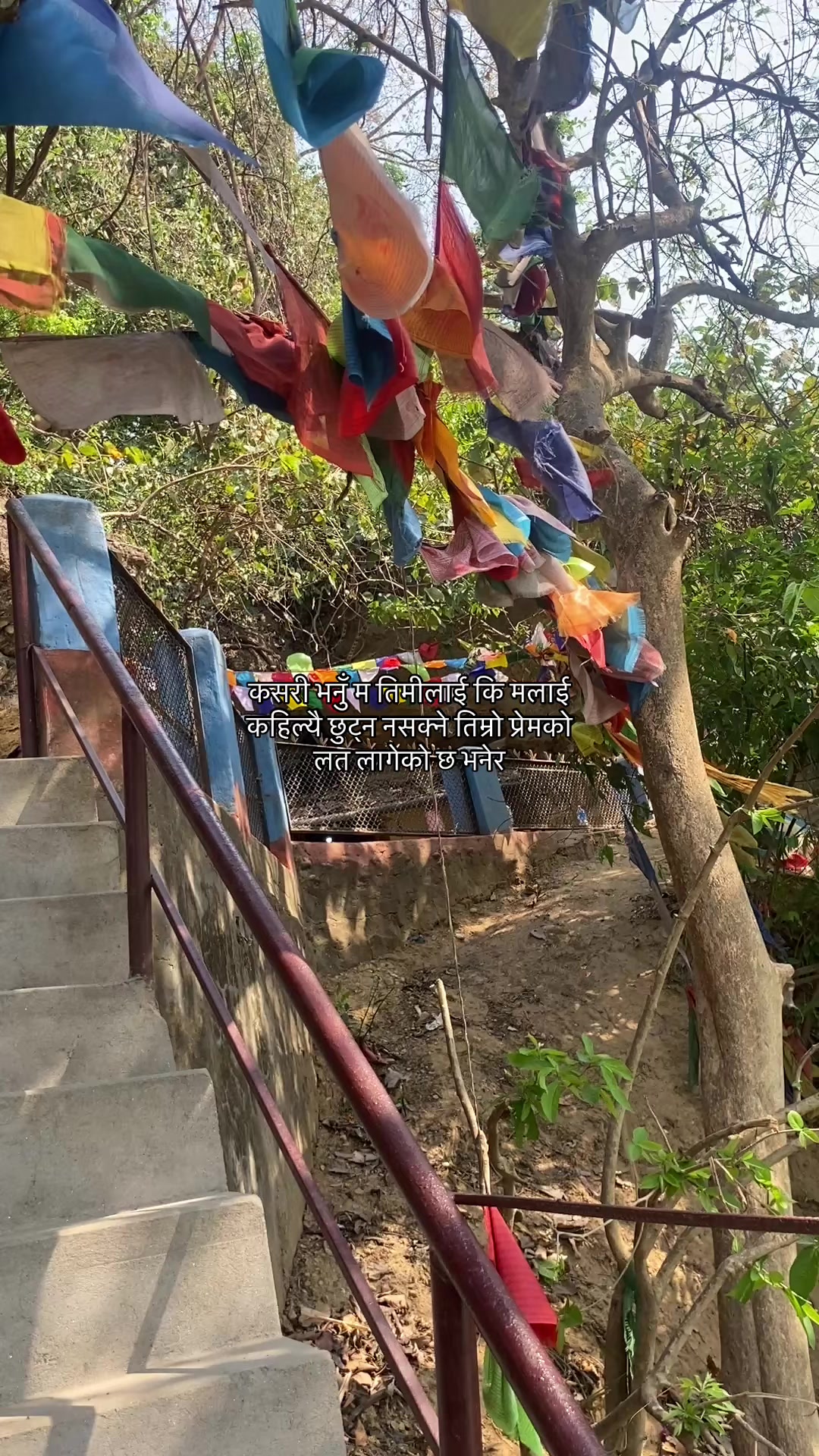 @๐ธ
