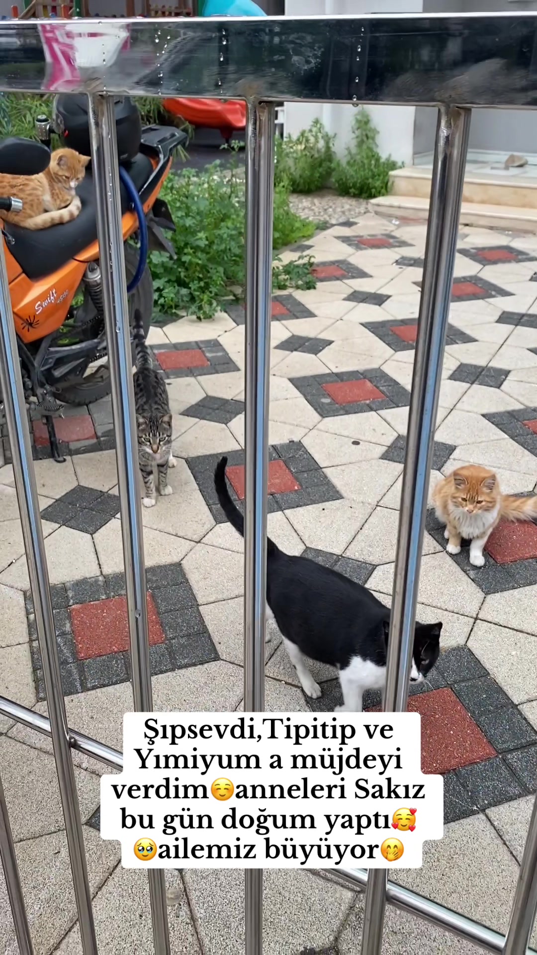 @Şapkalı Kadın