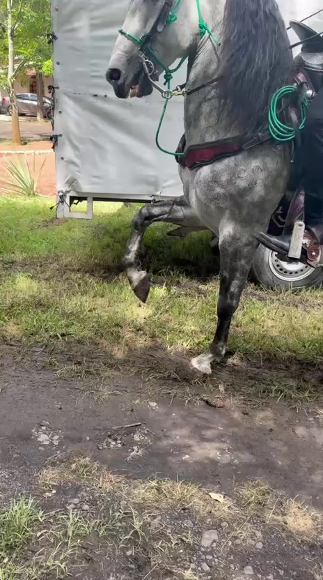 @Julio César