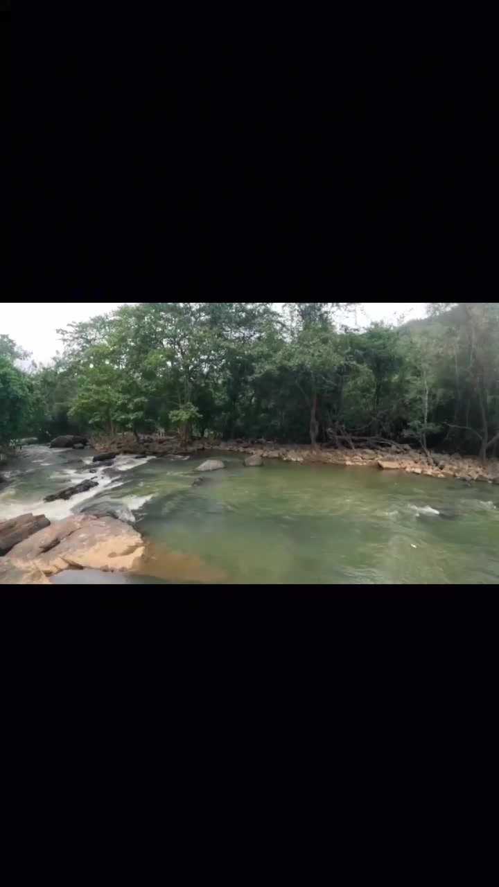 @chalanamayura