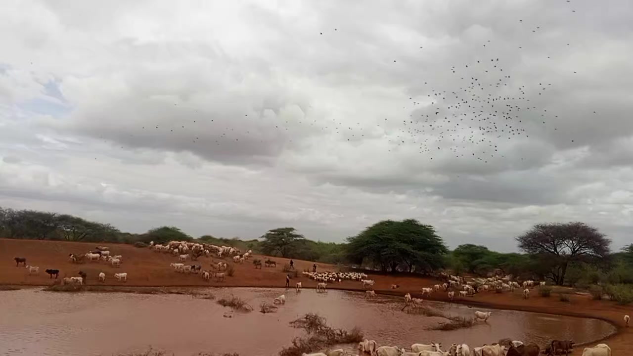 @Ayatulahi kalmoy binucafan