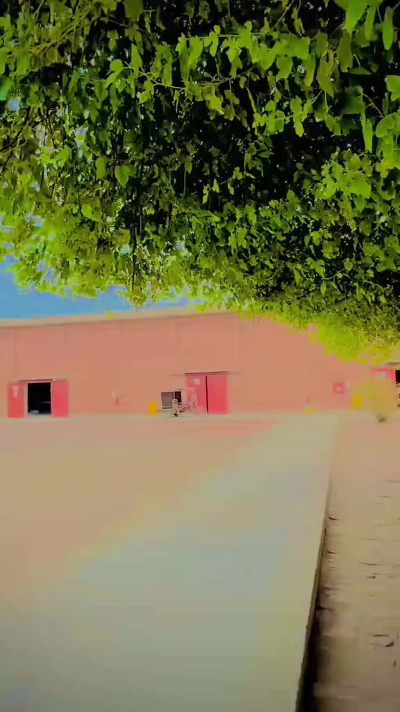 @꧁✧ 𝘏 𝘢 𝘮 𝘢 𝘥 ࿐