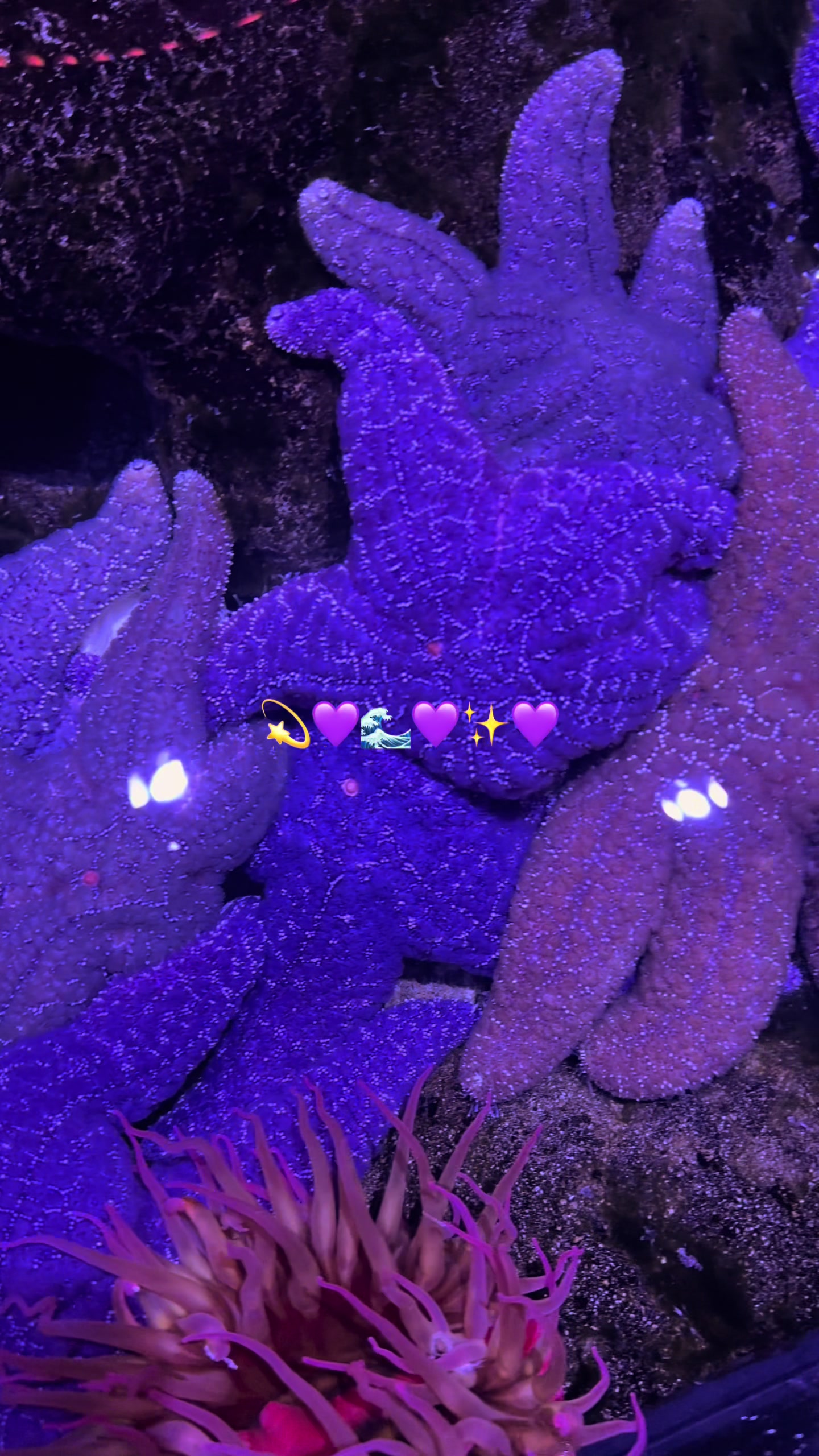 @The Florida Aquarium