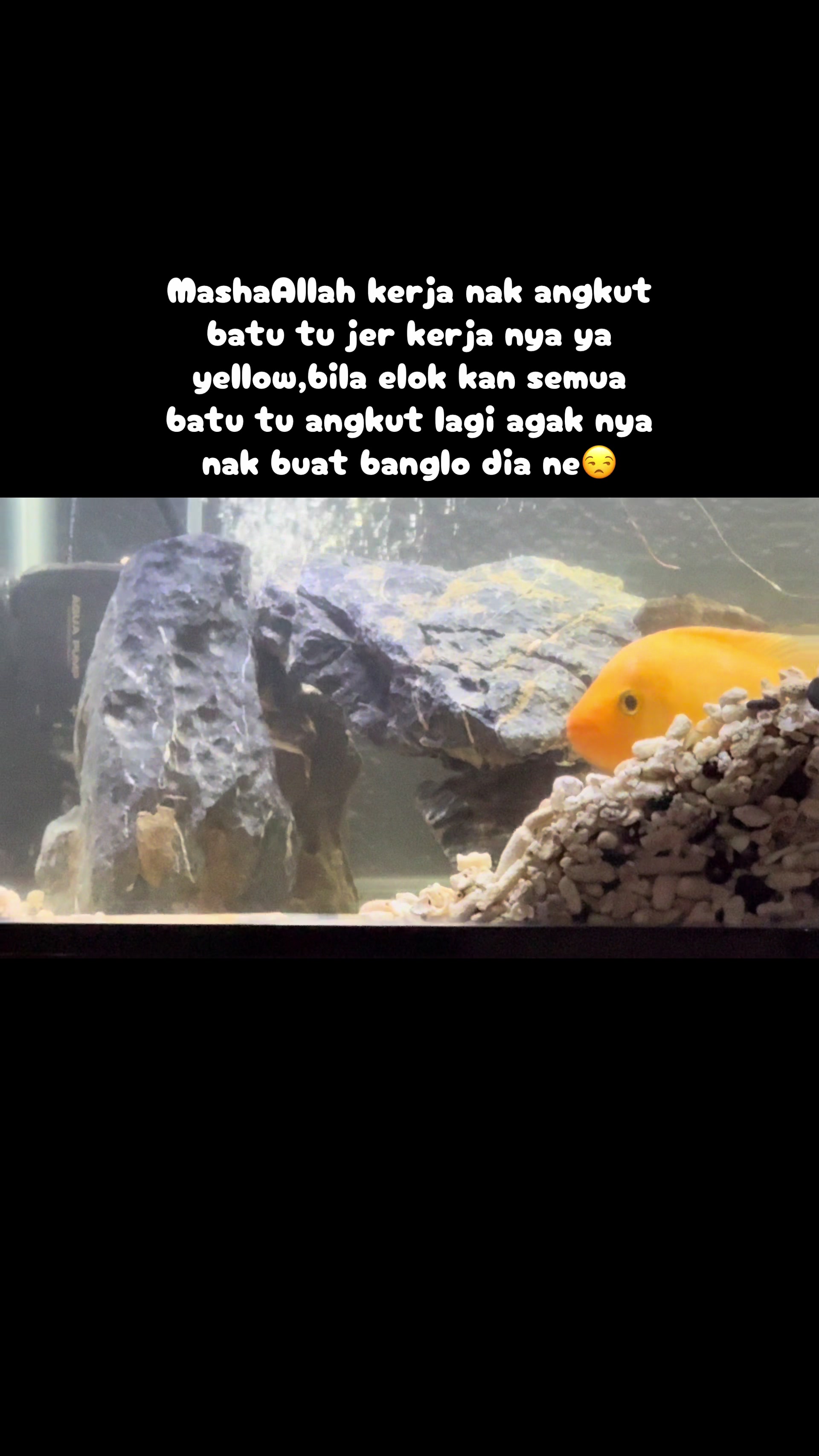 @KaKLonGHeR3🇲🇾🇸🇬🇵🇸