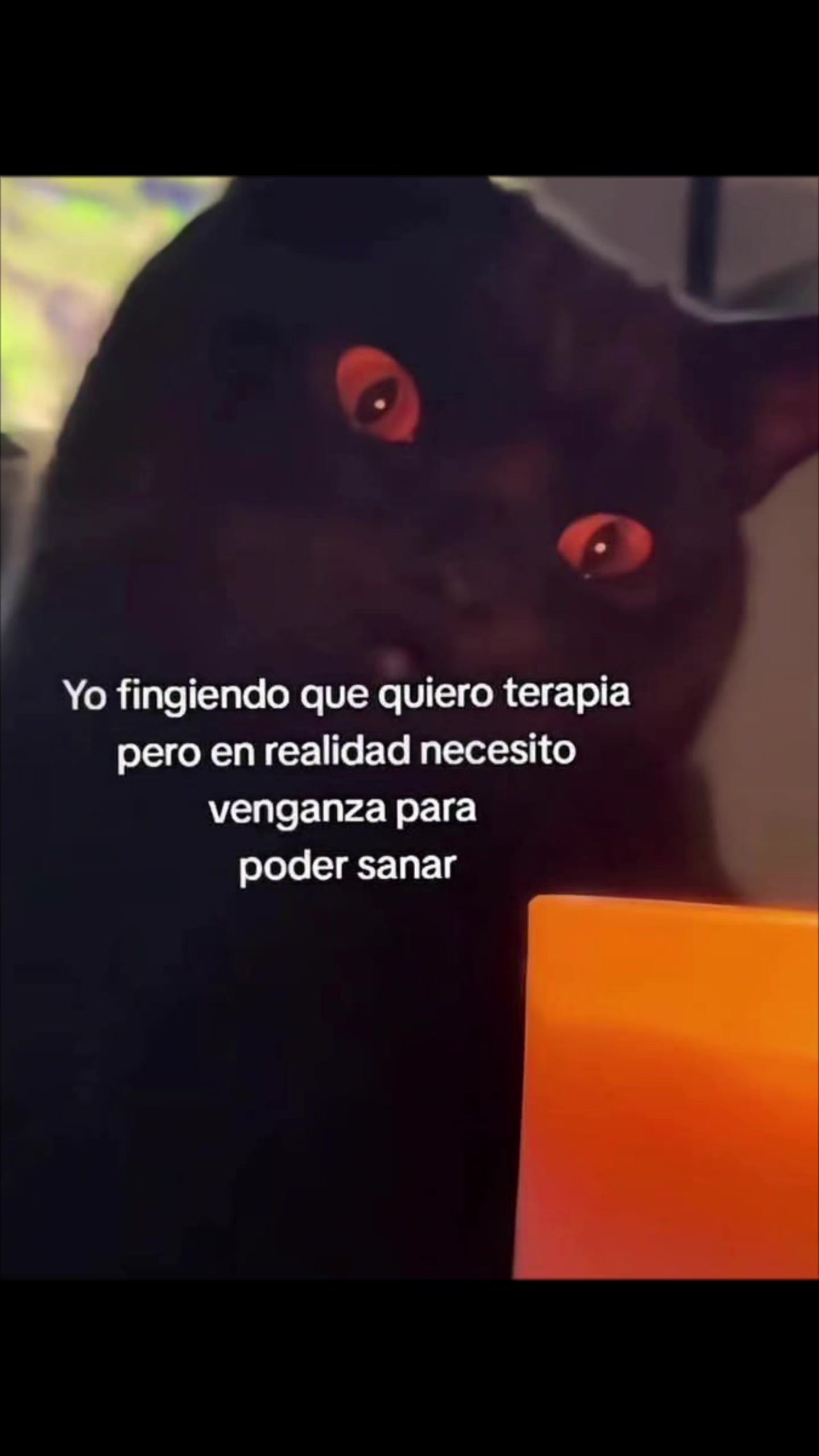 @Lucyfer🌹