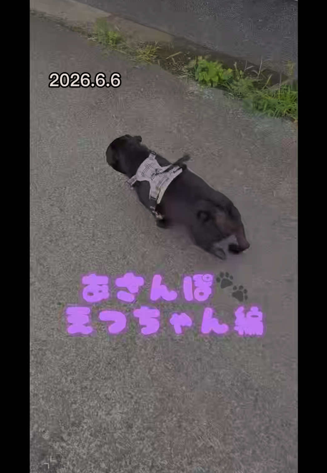 @すずか🧊🫧