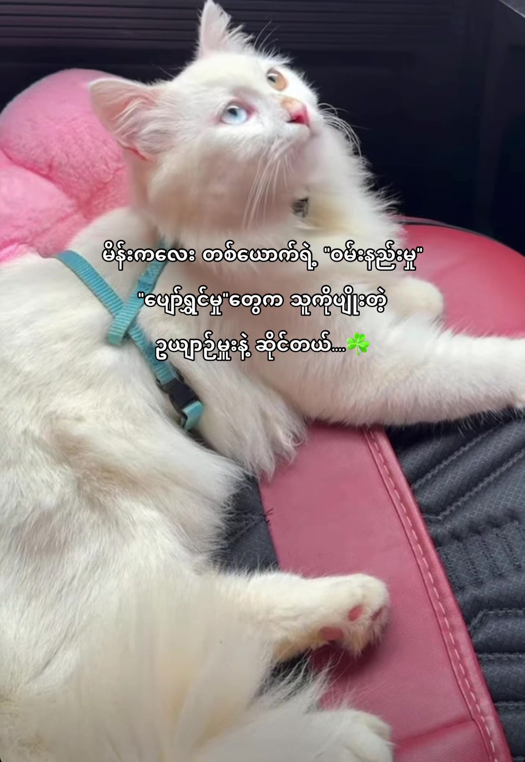 @â¤ď¸đĽHONEYâ¤ď¸đĽ