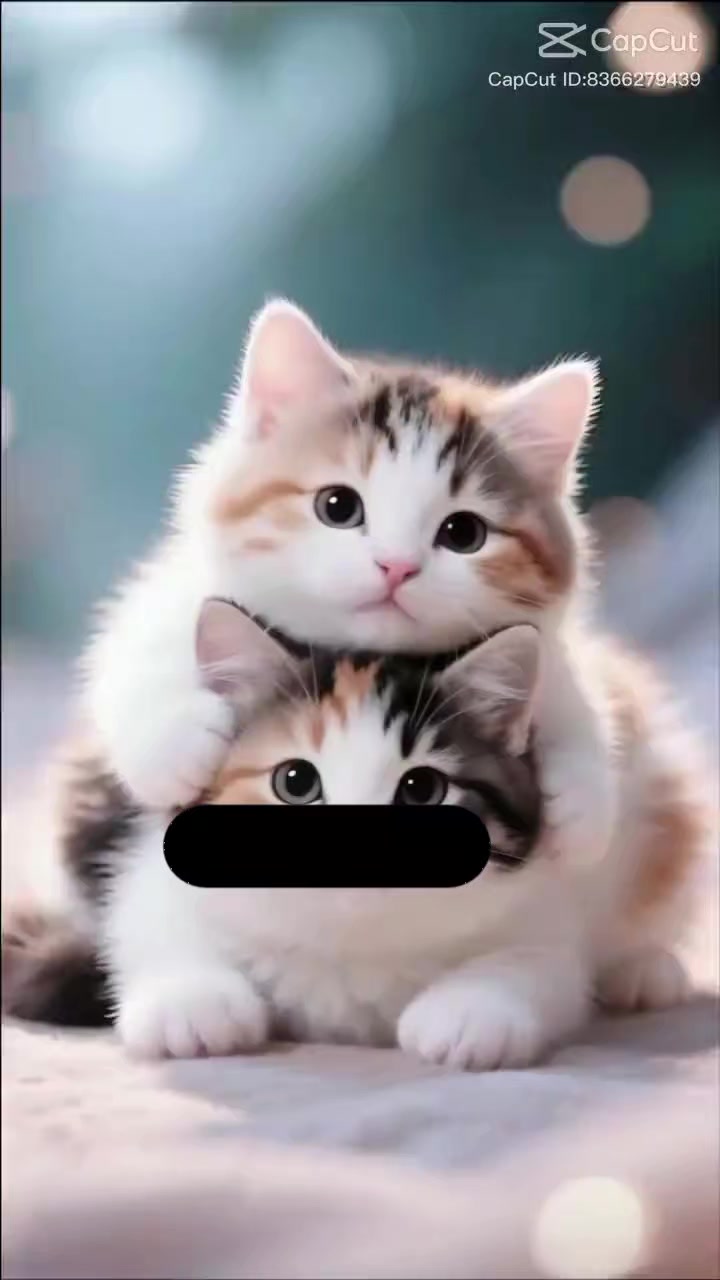 @๏ทฝโโ.๐๐ฅ๐ฅ๐ก ๐ข๐ฌ ๐จ๐ง๐โ
๐:โฆ
